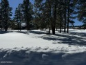 Excellent Level lot on Elephant rocks Golf Course. This lot is for sale in Williams Arizona Coconino County County on GolfHomes.com