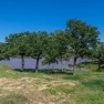  Ad# 6442802 golf course property for sale on GolfHomes.com