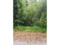 Private wooded lot with almost an 1/2 acre of land for you! for sale in Suffolk Virginia Suffolk County County on GolfHomes.com