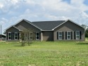 Back on the market!!! Less than a year old, come and enjoy this for sale in Dexter Georgia Laurens County County on GolfHomes.com
