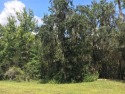 Almost 7 Acres with mature trees, both oaks and pines. There is for sale in Myakka City Florida Manatee County County on GolfHomes.com