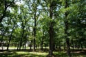 Build ready beautiful lots with mature oak trees!  Located in for sale in Star Harbor Texas Henderson County County on GolfHomes.com