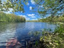 Looking for that perfect spot to camp, build a cabin, or better for sale in Summit  Lake Wisconsin Langlade County County on GolfHomes.com