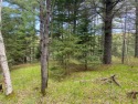Timber Ridge Wooded Lot for sale in Minocqua Wisconsin Oneida County County on GolfHomes.com