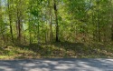 BIG NORTH CAROLINA MOUNTAIN VIEWS!! This 4.02 acre lot offers for sale in Hayesville North Carolina Clay County County on GolfHomes.com
