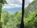Sweeping mountain views are available from this ten-acre parcel for sale in Sapphire North Carolina Transylvania County County on GolfHomes.com