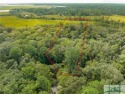 One-of-a-kind 10.5 acre, build-ready homesite within The Ford for sale in Richmond Hill Georgia Bryan County County on GolfHomes.com