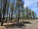 Sunsets and star views for days!!!Take advantage of this rare for sale in Munds Park Arizona Coconino County County on GolfHomes.com