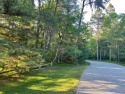 Timber Ridge Lot for sale in Minocqua Wisconsin Oneida County County on GolfHomes.com