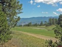 Alan L Stapleton, RE/MAX Cimarron Realty, C: , astapleton,  : for sale in Ridgway Colorado Ouray County County on GolfHomes.com
