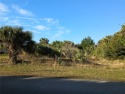 Welcome to a Florida paradise! This prime 80'x125' lot is for sale in Palm Coast Florida Flagler County County on GolfHomes.com