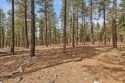  Ad# 5887256 golf course property for sale on GolfHomes.com
