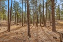  Ad# 5887256 golf course property for sale on GolfHomes.com