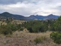 Connie Goodnight, Land Properties, LLC, C: , connie,  : for sale in South Fork Colorado Rio Grande County County on GolfHomes.com