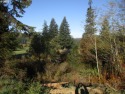 This is it!!! WATER-well is 11 gallons per minute. View is Golf for sale in Coos Bay Oregon Coos County County on GolfHomes.com