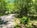 VACANT LOT IN TIMBER RIDGE. Great opportunity to own in the for sale in Minocqua Wisconsin Oneida County County on GolfHomes.com
