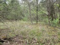  Ad# 6074418 golf course property for sale on GolfHomes.com