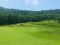 Beautiful golf course lot overlooking the 11th & 12th Fairways for sale in Branson Missouri Taney County County on GolfHomes.com