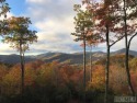 PRICE IMPROVEMENT.... lowest priced BIG view lot in Bald Rock! for sale in Sapphire North Carolina Jackson County County on GolfHomes.com