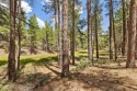 This is an exceptionally rare opportunity to own a true family for sale in Flagstaff Arizona Coconino County County on GolfHomes.com