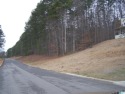 One of the Best Wooded Lots in Heritage Green Estates for sale in Oneonta Alabama Blount County County on GolfHomes.com