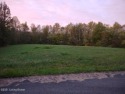 2 Beautiful lots in Green Farms subdivision. With almost 2 acres for sale in Falls Of Rough Kentucky Grayson County County on GolfHomes.com
