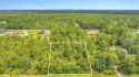 Beautiful 1.24 acres located in the highly desired Equestrian for sale in Orlando Florida Orange County County on GolfHomes.com