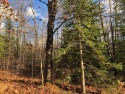Whitecap Mountain Resort Home Site! Be a part of the Whitecap for sale in Hurley Wisconsin Iron County County on GolfHomes.com