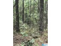 This is a developing area with great proximity to Lake Logan for sale in Alpine Alabama Talladega County County on GolfHomes.com