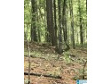 This is a developing area with great proximity to Lake and for sale in Alpine Alabama Talladega County County on GolfHomes.com