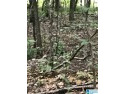 This is a developing area with great proximity to Lake and for sale in Alpine Alabama Talladega County County on GolfHomes.com