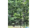 This is a developing area in a golf community with great for sale in Alpine Alabama Talladega County County on GolfHomes.com