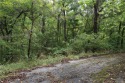 Large Cul-De-Sac lot with a gentle slope. Located in a for sale in Bella Vista Arkansas Benton County County on GolfHomes.com