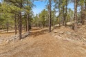  Ad# 5887256 golf course property for sale on GolfHomes.com