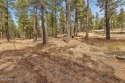  Ad# 5887256 golf course property for sale on GolfHomes.com