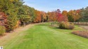 Located in the heart of Leland, this vacant parcel is one of a for sale in Leland Michigan Leelanau County County on GolfHomes.com